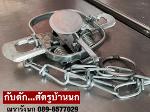X-590 กับดักศัตรูบ้านนก (แสตนเลส)
